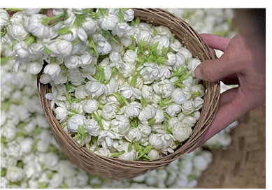 Dried Jasmine Flower Tea