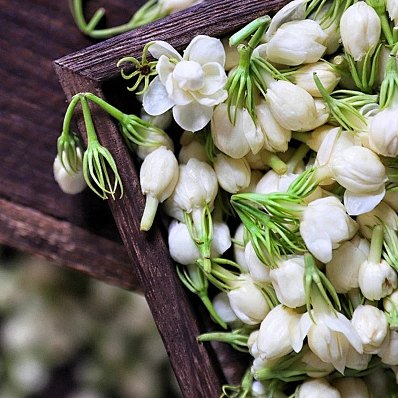 Dried Jasmine Flower Tea